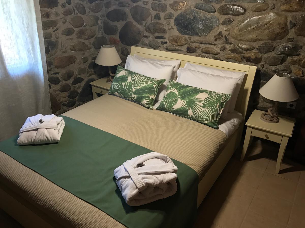 Casa Avocado *