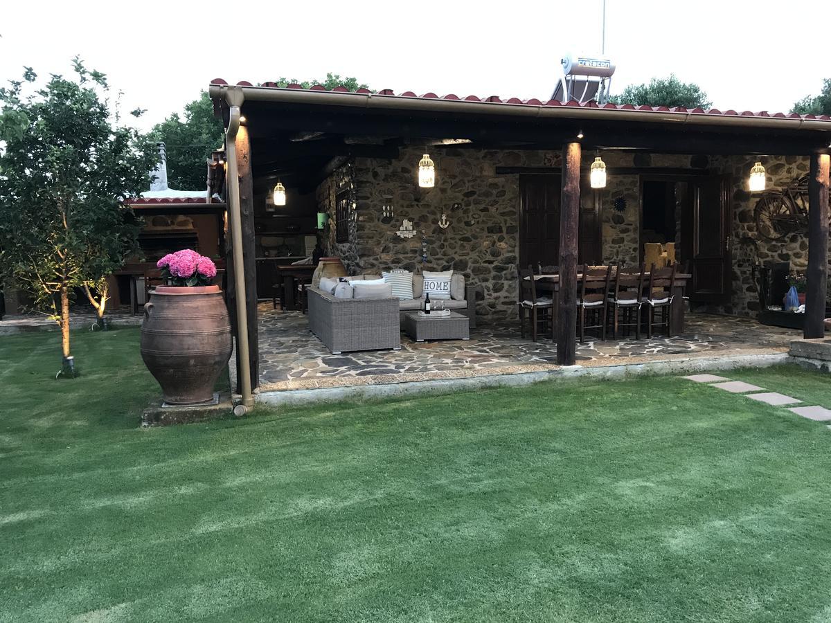 Casa Avocado *