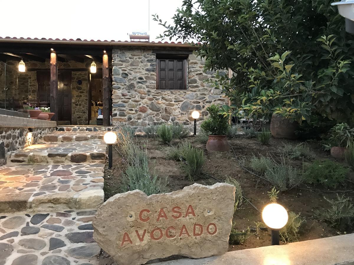 Casa Avocado Holiday home Tavronitis (Crete)