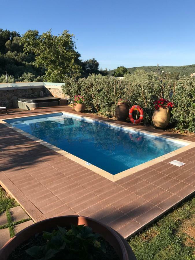 Casa Avocado