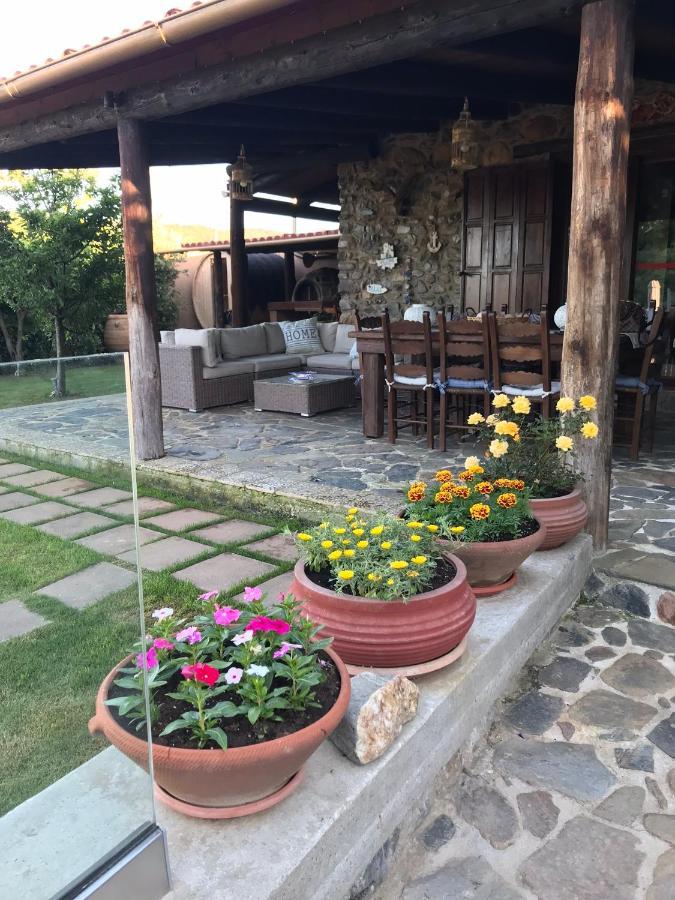 Holiday home Casa Avocado